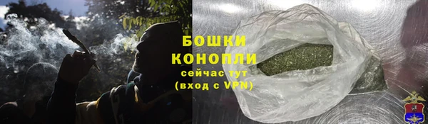 PSILOCYBIN Алексин