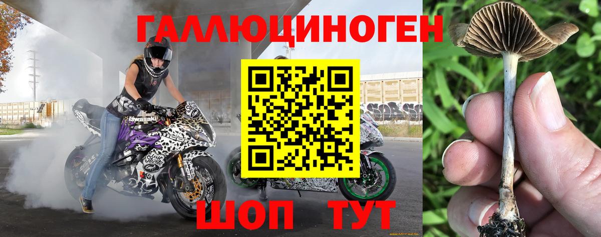 Ачинск  Псилоцибиновые грибы Magic Shrooms  Галлюциногенные грибы Psilocybe  Вход с VPN 